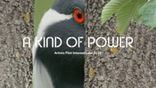Artists Film International (AFI) 2026: A Kind of Power