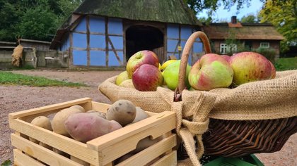 Apfel- und Kartoffeltag im Freilichtmuseum am Kiekeberg