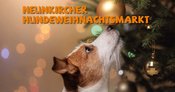 8. Neunkircher Hundeweihnachtsmarkt