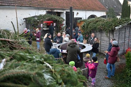 10. Fischbacher Schlossweihnacht