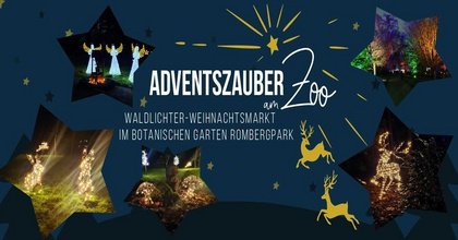 Adventszauber am Zoo - Rombergpark 2026