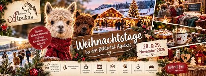 Weihnachtstage bei den Bühlertal Alpakas 2026