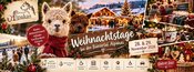 Weihnachtstage bei den Bühlertal Alpakas 2026