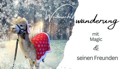 Mit Alpakas durch die Zeit zwischen den Jahren – Winterwanderung mit Lagerfeuer