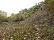 Immer wieder sonntags !! „Wildnis in der Stadt“ - Der naturnahe Steinbruch