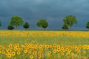 Radtour Nürnberg - Kopenhagen und zurück?
