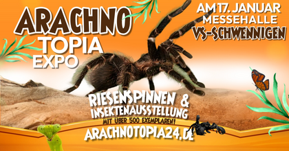 Arachnotopia - Riesenspinnen & Insektenausstellung VS-Schwenningen