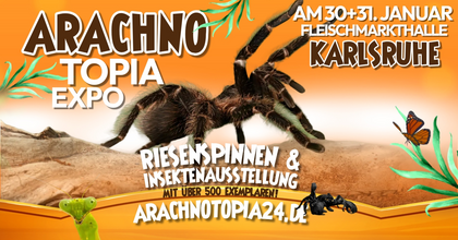 Arachnotopia - Riesenspinnen & Insektenausstellung Karlsruhe