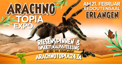 Arachnotopia - Riesenspinnen & Insektenausstellung Erlangen