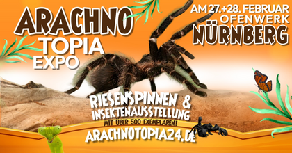 Arachnotopia - Riesenspinnen & Insektenausstellung Nürnberg
