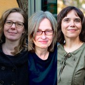 »Trotz allem Schönheit« – Drei Poetiken der Verletzlichkeit