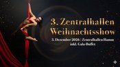 3. Zentralhallen Weihnachtsshow