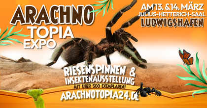 Arachnotopia - Riesenspinnen & Insektenausstellung Ludwigshafen
