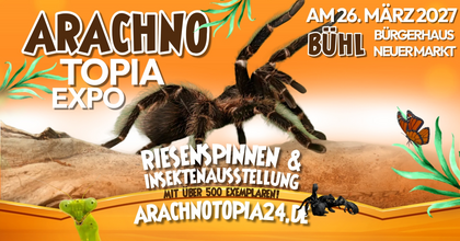 Arachnotopia - Riesenspinnen & Insektenausstellung Bühl