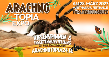 Riesenspinnen & Insektenausstellung Fürstenfeldbruck