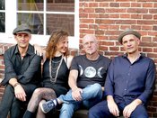 Get the Cat, Konzert