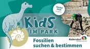 Kids im Park: Fossilien suchen & bestimmen