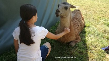 Lama flüstern für Kinder in den Herbstferien