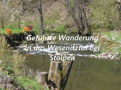 Geführte Wanderung in das Wesenitztal bei Stolpen.