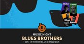 Music Night: Blues Brothers + Water Tower Blues Band LIVE