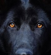 Halloween-Special