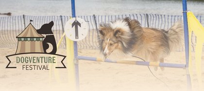 Dogventure Festival am 04.09.2027