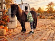 Herbstzauber mit Ponys für Kids ab Grundschulalter