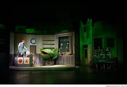 Der kleine Horrorladen (Little Shop of Horrors) // Musical von Ashman und Menken im Theater MG