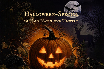 🦇 Halloween-Special im Haus Natur und Umwelt