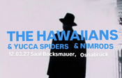 THE HAWAIIANS - Return of the horror Hula Headbangers...