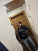 Sängerin sucht Band