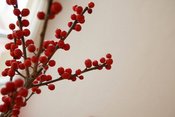 AdventsZauber | Eine weihnachtliche kulinarische Schlossführung