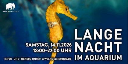 Lange Nacht im Aquarium