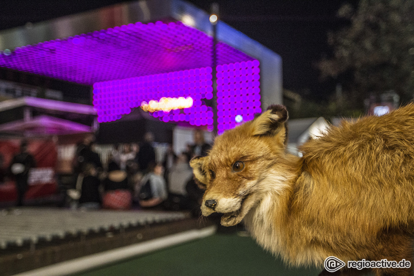 Stimmung beim Reeperbahn Festival 2016