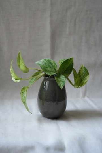 Small plant pot