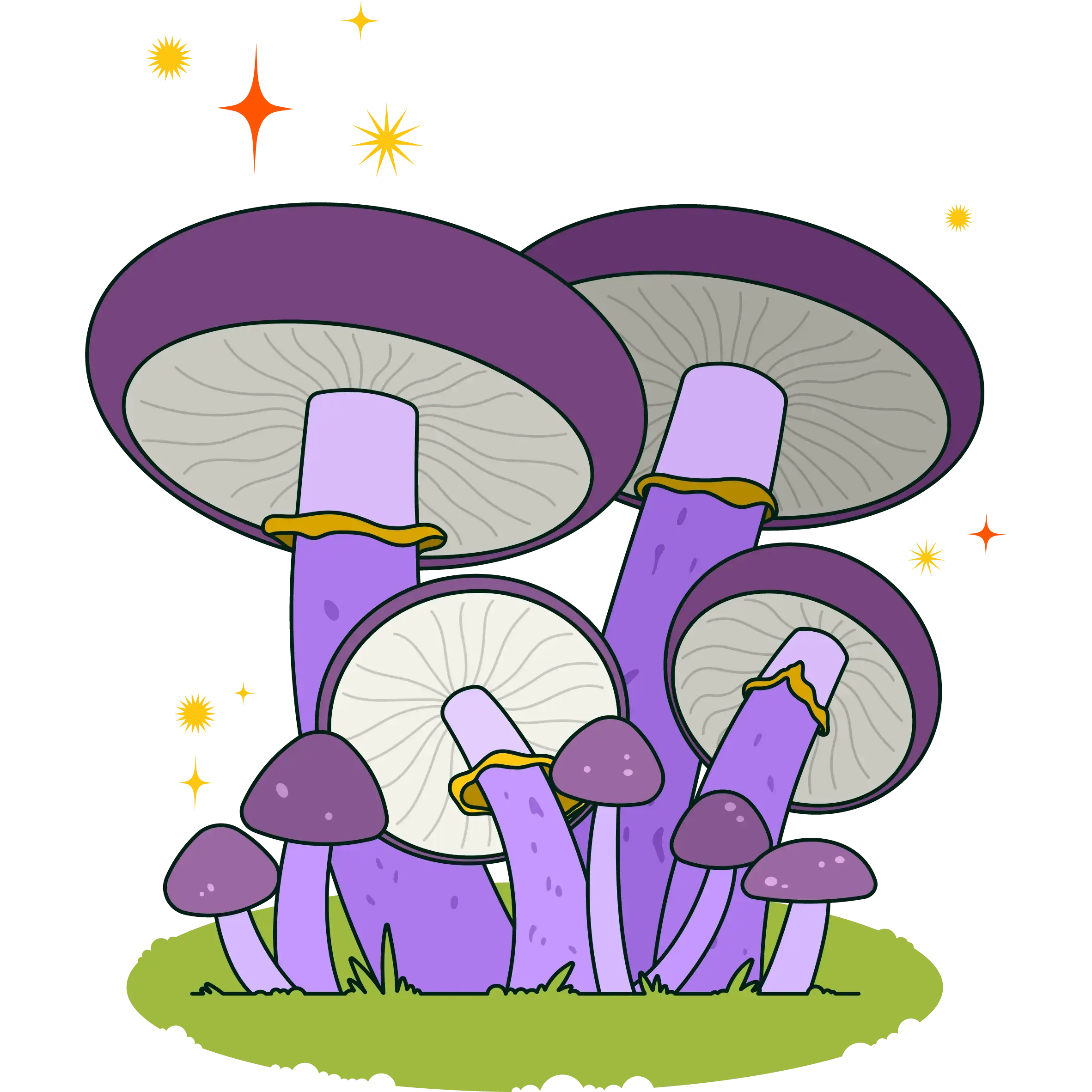 fungi