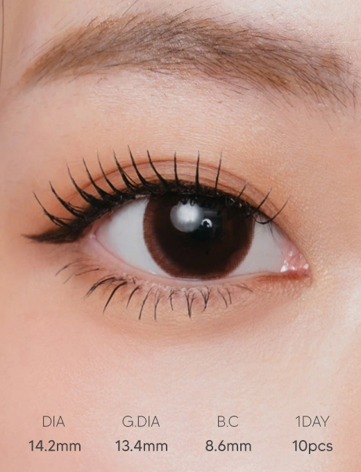 Mode Brown 溫柔奶棕 日拋10片