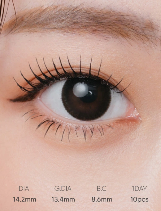 Mode Black 經典霧黑 日拋10片