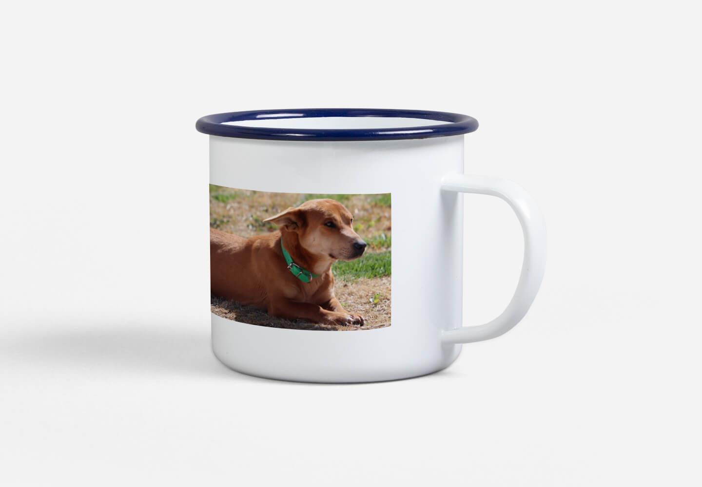 Camping Mug