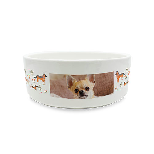 Pet Bowl Small