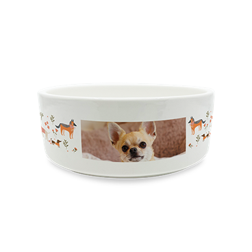 Pet Bowl 