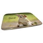 Tapis pour animaux