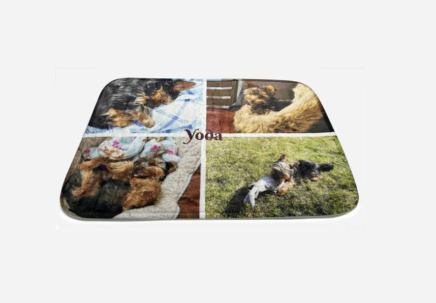 Tapis pour animaux