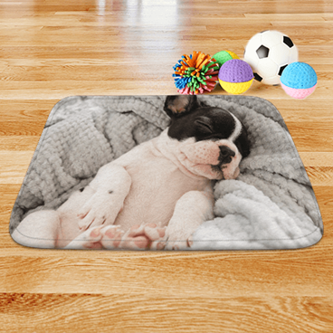 Tapis pour animaux