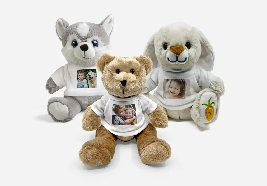Custom Teddies