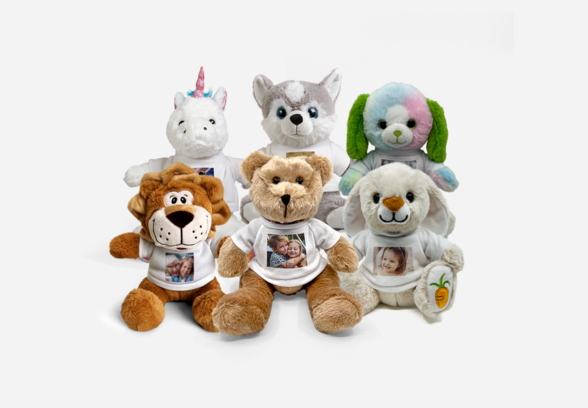 Custom Teddies