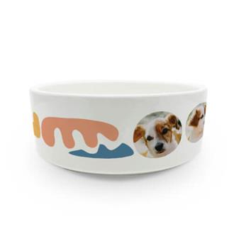 Pet Bowl Small