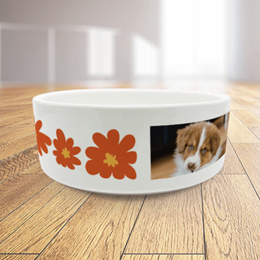 Pet Bowl 