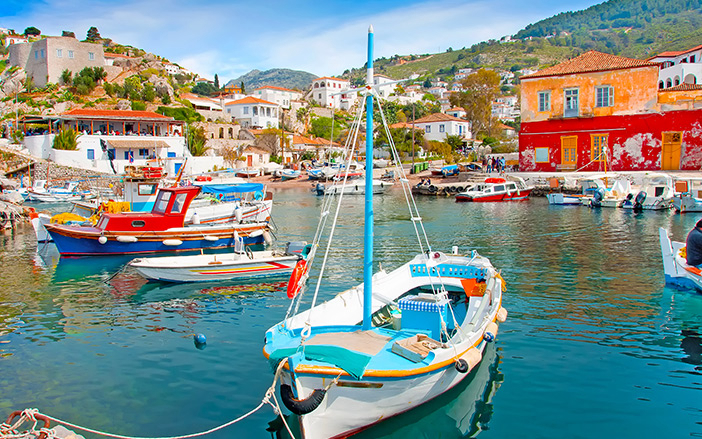 The colorful Hydra