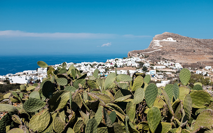 The cosmopolitan Cyclades